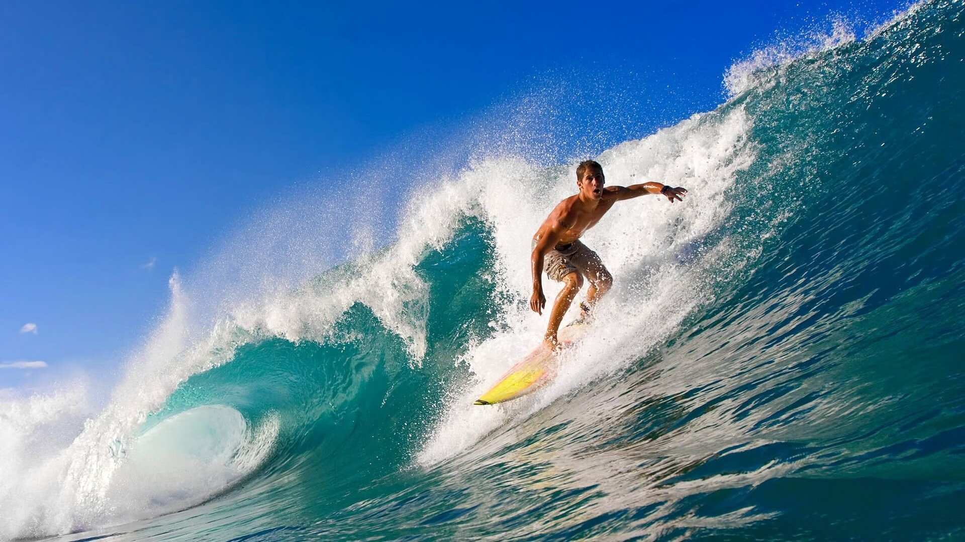 “青少年运动员在全国锦标赛中表现抢眼，实力新秀崭露头角”，2020年全国青少年锦标赛规程